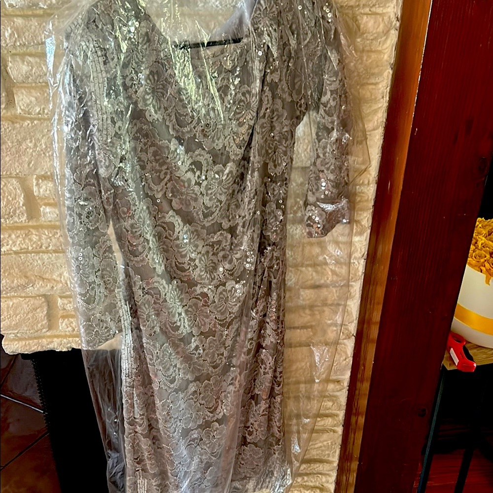 Eliza J Silver Long Sleeve Dress